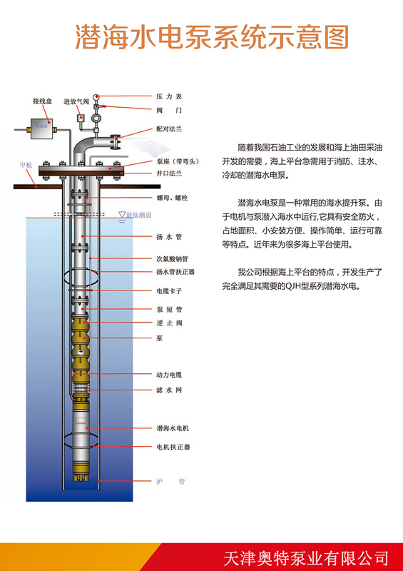 潜海水电泵装置,潜水泵装置,海水提升泵装置,海水潜水泵 . 不锈钢潜海水提升电泵系统装置示意图